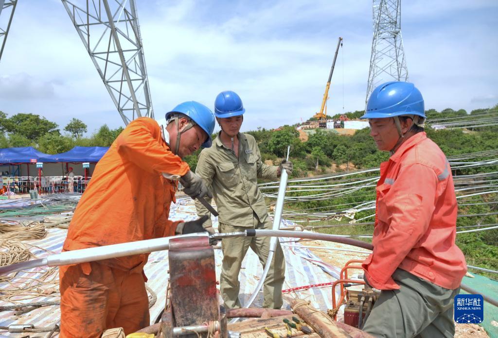 摸摸鱼游戏下载